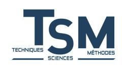 TSM
